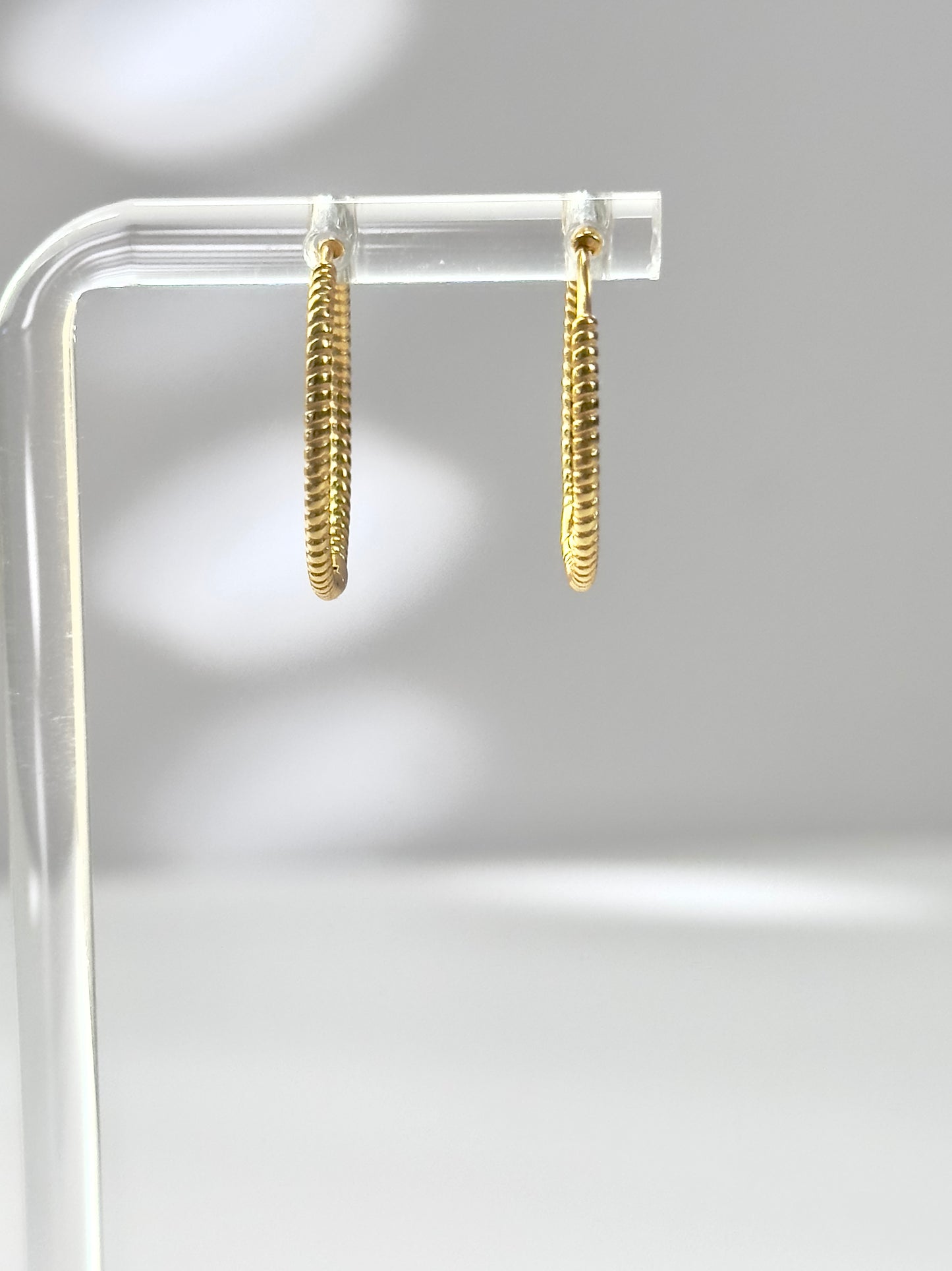 Everyday Rigged Hoops