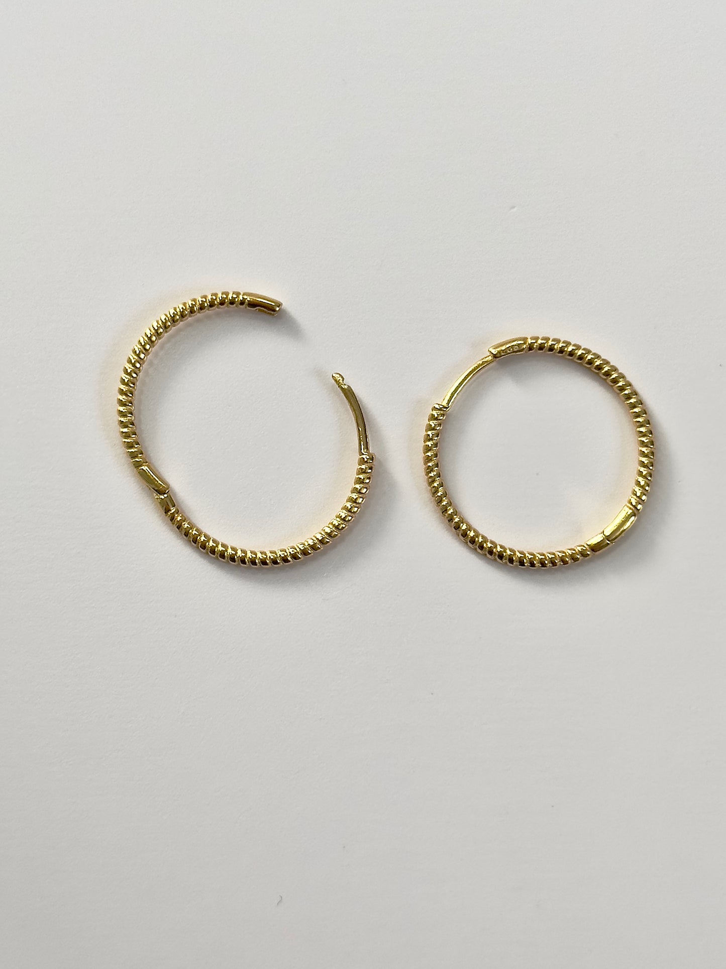 Everyday Rigged Hoops