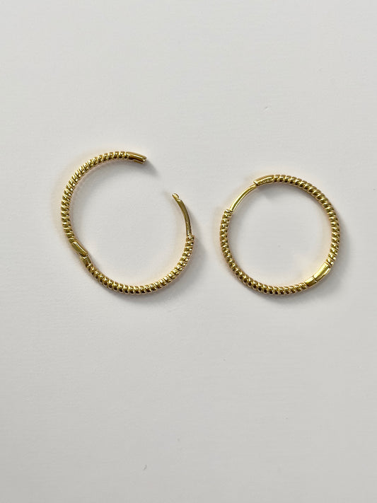 Everyday Rigged Hoops