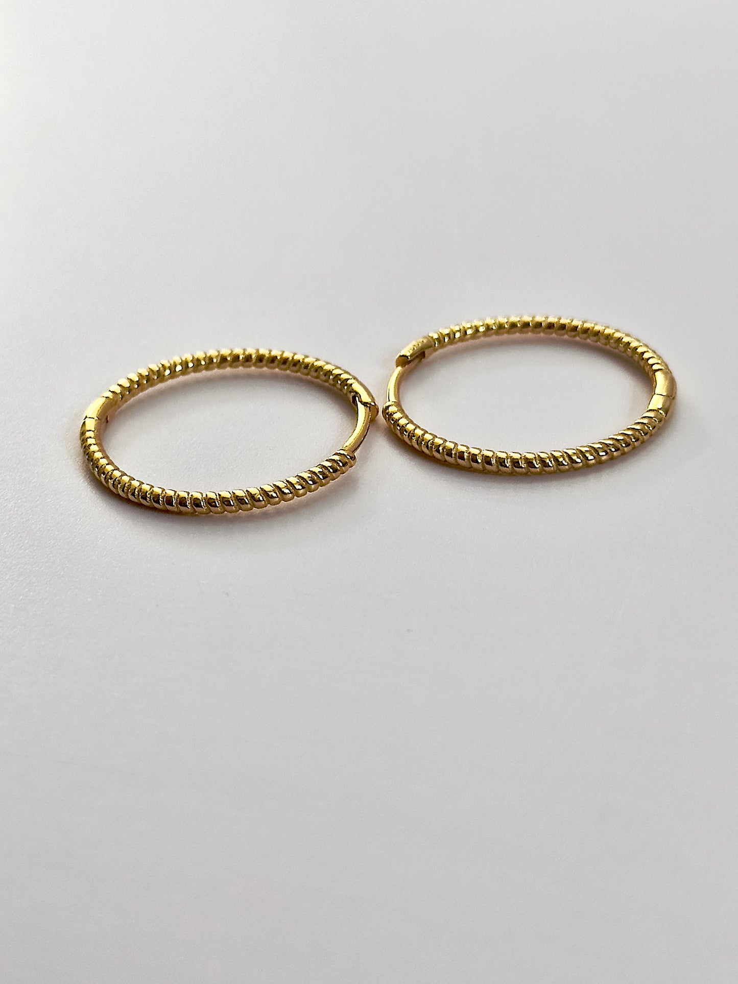 Everyday Rigged Hoops
